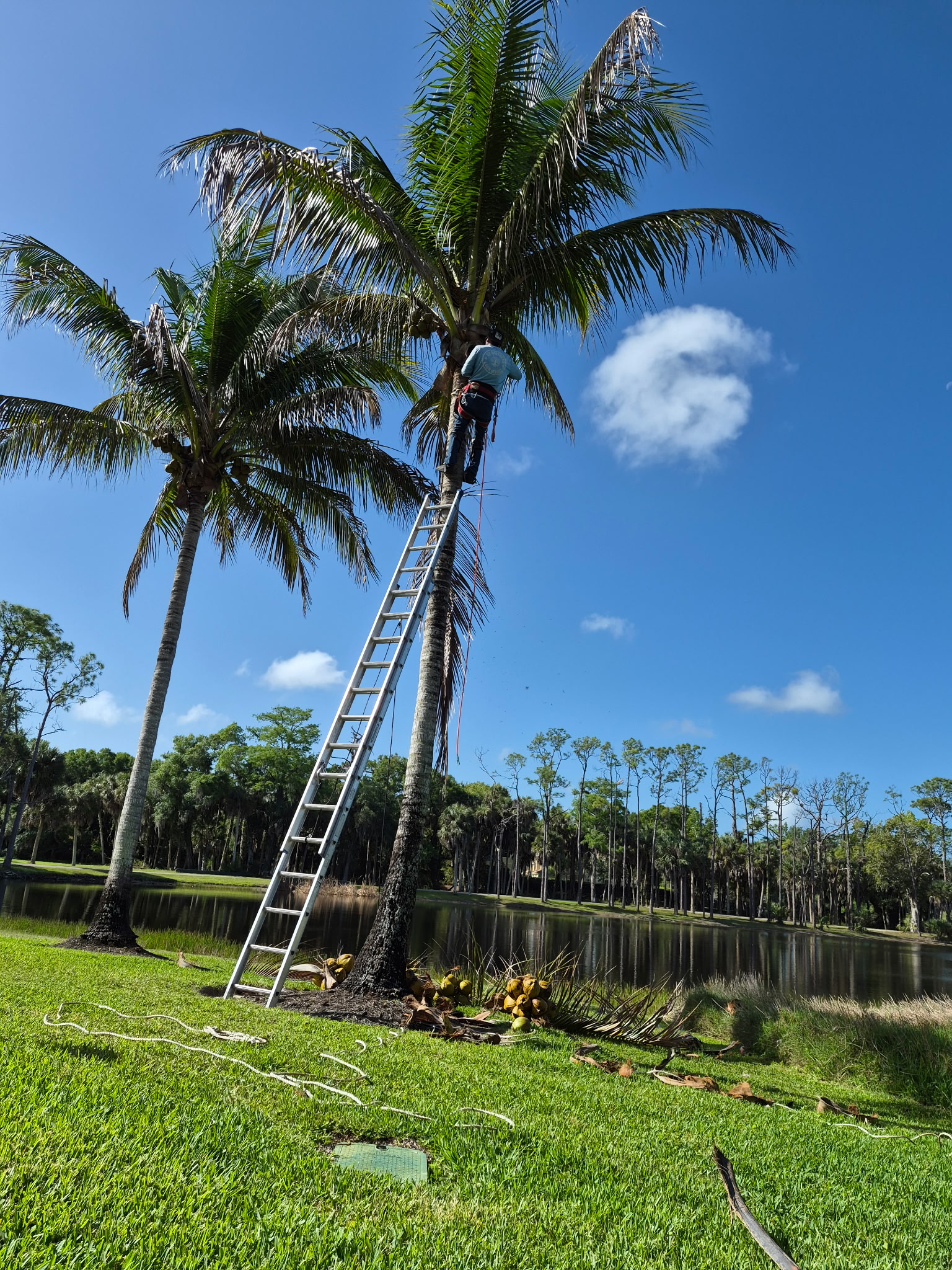 BV Brothers lawn care crew working in Fort Myers FL